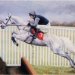 Desert Orchid