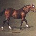 Northern Dancer